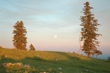 10.06.2006 033.jpg